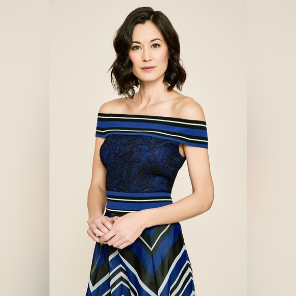 NWT TADASHI SHOJI ENNIS OFF-THE-SHOULDER STRIPED ORGANZA GOWN Dress Medium Blue - Picture 2 of 15